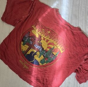 Wrangler X Billabong Desert Graphic Crop Tee